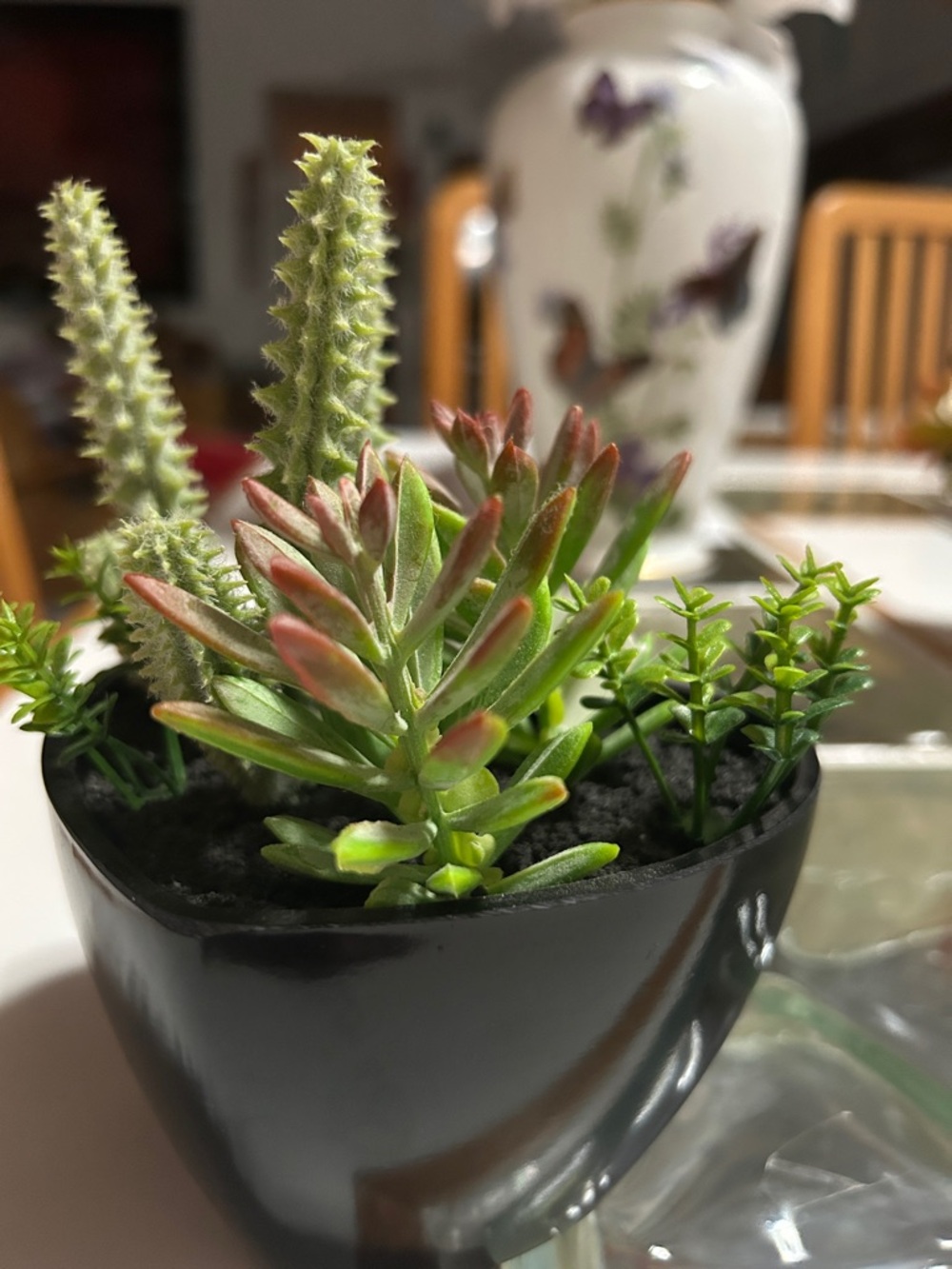 Artificial Succulent Arrangement in Black Planter - Green and Red Accents